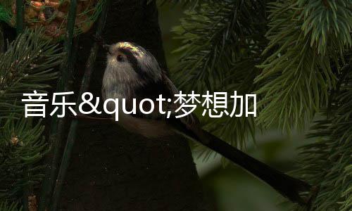 音乐"梦想加速器"